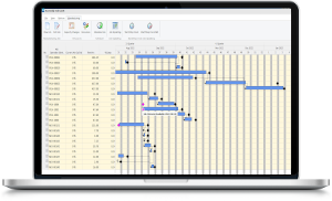 Assembly and order gantt chart